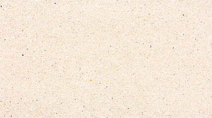 Elegant Cream Surface Texture with Delicate Speckles for Sophisticated Designs and Visual Appeal