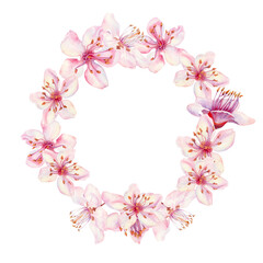 Wreath with sakura flowers on a white background. Spring blooming cherry blossom flowers for Hanami festival. Delicate shades of pink, lilac, lilac, purple petals. Watercolor template for card, poster