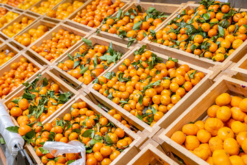 Abundance of orange tangerines in crate on counter in supermarket.