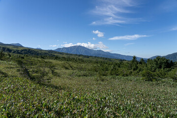 大日平から見える薬師岳