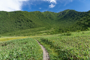 大日岳への木道（大日平）