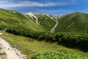 薬師岳　登山道
