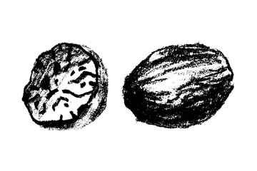 Hand drawn nutmeg illustration, bakery spice symbol, nutmeg seed sign. Cahrcoal sketch, natural flavoring doodle, organic flavouring drawings. Fragrant nutmeg drawing for label, banner design.