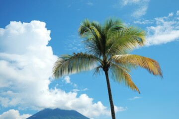 Fototapeta premium Arenal Volcano Landscape with Palm Trees in Tropical Sky