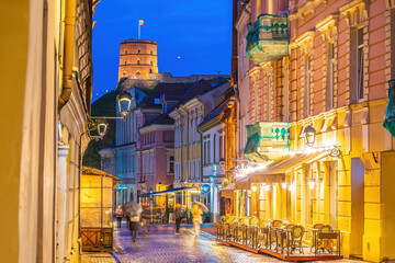 Gediminas Castle Tower in downtown Vilnius city, cityscape of  Lithuania in Europe