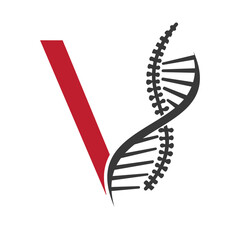Initial Letter V Spin Therapy Logo, Orthopedic Symbol For Medical and Healthcare Icon