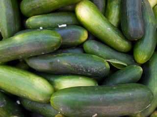 Cucumber is a refreshing, hydrating vegetable with a crisp texture and mild flavor. Cucumber display in market place for sale, colorful picture for social media