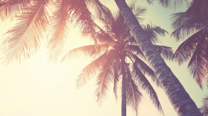 Palm trees silhouetted against a vibrant sunset sky, evoking a tranquil tropical atmosphere