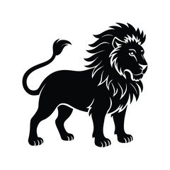 lion vector illustration on white background