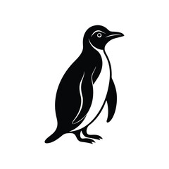 penguin vector illustration