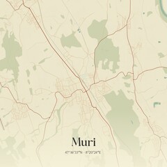 Vintage map of Muri, Switzerland.