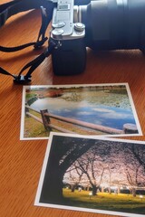 ミラーレス一眼で撮った旅行先の思い出