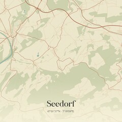 Vintage map of Seedorf, Switzerland.