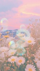 Obraz premium Sky landscape outdoors nature.