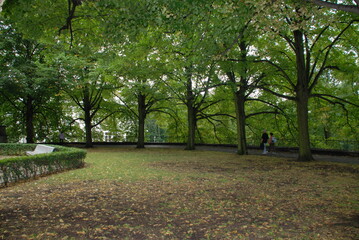 trees in the park, Tallinn Estonia