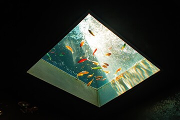 Dark Room with Open Skylight and Colorful Fish Swimming in Surreal Light