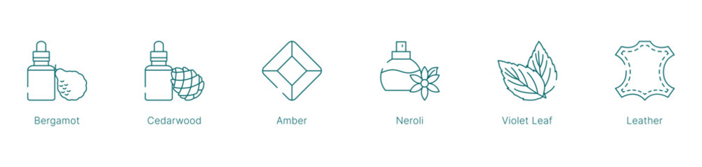 Classic and Modern Fragrance Notes Vector Icon Set