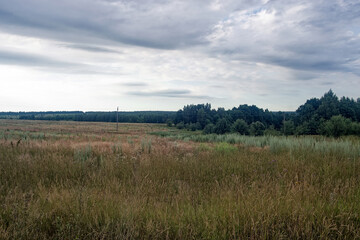 Field overgrown with weeds on a cloudy day