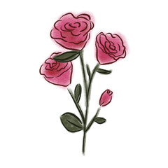 delicate watercolor roses bouquet flower illustration, elegant botanical art for wedding invitations and nature designs