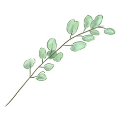green leaves isolated on white Watercolor  illustration for floral designs and invitations