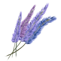 Watercolor lavender bouquet illustration for floral designs and invitations