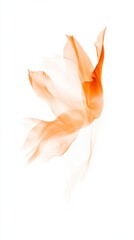 Fototapeta premium an Orange Tulip with Delicate Petals on White Background Featuring Prismatic Chromatic Aberration and Pastel Tones