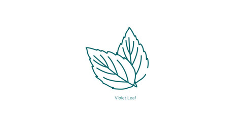 Green Violet Leaf Powdery Notes Vector Icon
