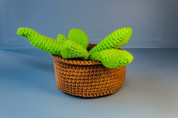 Decor, interior - Europe, Romania, Constanta region