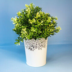 Decor, interior - Europe, Romania, Constanta region