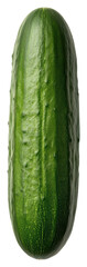 Close Up of a Fresh Green Cucumber on a Transparent Background with Natural Texture