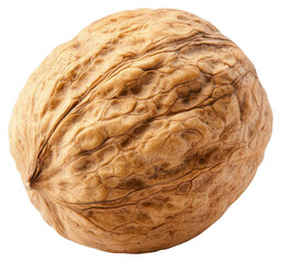 Fototapeta premium Close Up of a Single Brown Walnut with Detailed Shell Texture on Transparent Background