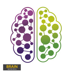 Left and right human brain concept. Infographics brain design. vector illustration.
