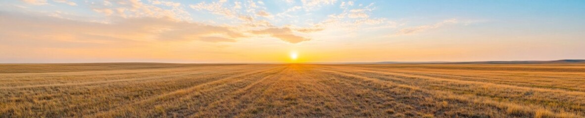 Golden Hour Solar Expansion Horizon View of Solar Farm on Agricultural Land - Sustainable Energy Transition Content for Modern Infrastructure and Eco-Friendly Development