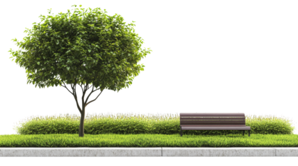 Relaxing park scene with tree and bench urban environment nature photography peaceful setting tranquil viewpoint