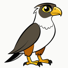 bird of prey