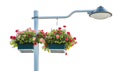 Street lamp with flower baskets illuminating urban landscape city park photography bright colors close-up nature's beauty