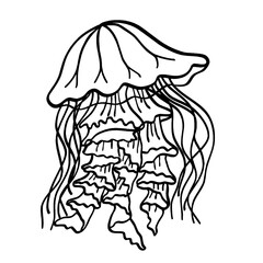 octopus cartoon illustration
