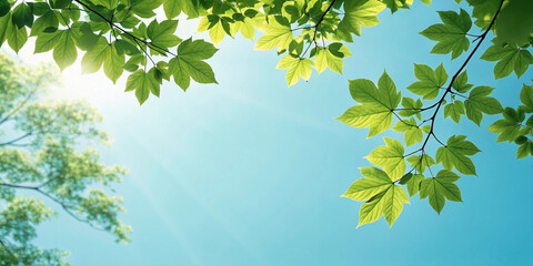  View of a bright blue sky framed by lush green leaves, capturing the beauty of a clear summer day with fresh air and natural light
