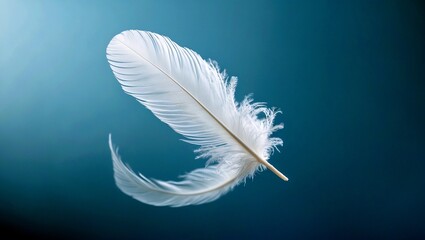 Obraz premium Delicate white feather floating on calm blue background