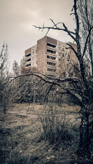 destroyed and burned houses in the city in Ukraine