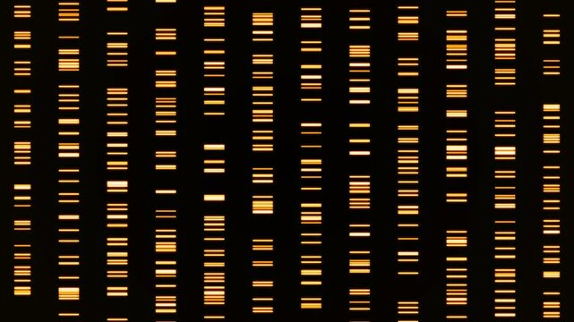 Big genomic data visualization. Animation. Abstract DNA information processing by virtual ai, artificial intelligence. Motion Animation. Video available in 4K FullHD and HD render footage