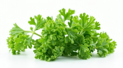 Obraz premium Fresh Green Parsley Leaves Isolated on White Background