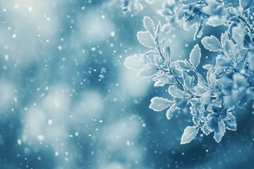 Frost-covered branches with falling snow create a serene winter atmosphere in a snowy landscape