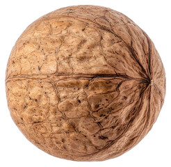 Obraz premium Macro Shot of a Single Brown Walnut Shell on a Transparent Background
