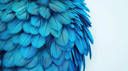 Obraz premium A vibrant close-up of blue feathers, showcasing intricate textures and shades, with a soft background enhancing their beauty.