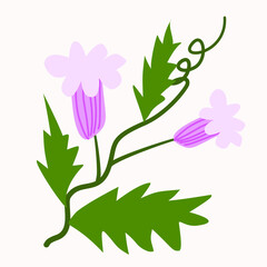 Cute flower illustration. Vector flower flat. Simple flower clipart.