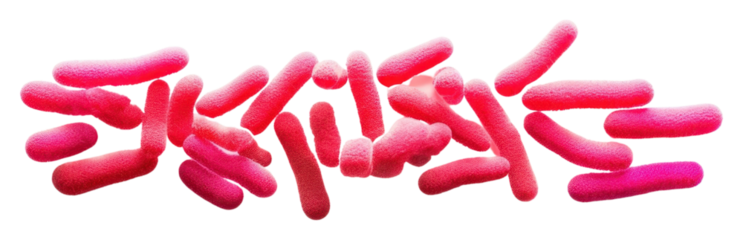 PNG Confectionery white background medication sprinkles.