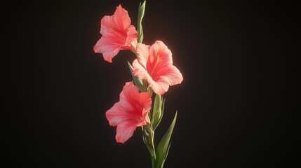 A dynamic 3D gladiolus flower in shades of red with multiple blossoms.