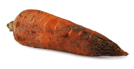 Blackened spoiled carrot isolated on white background.