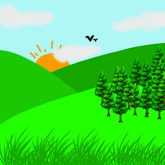 summer landscape with grass